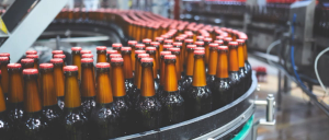 conveyor belt with beer bottles in a bottling factory