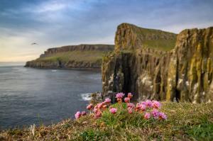 Image of cliffs in Scotland